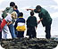 Fitzgerald Marine Reserve Volunteer Needed